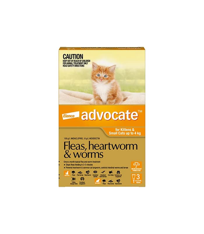 pet-product-cats-health-1-0.jpg Advocate Orange For Small Cat - Billede 1