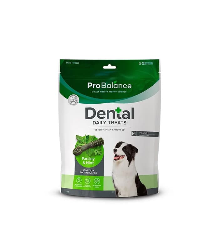 pet-product-dogs-treats-9-0.jpg Probalance Toothbrush Parsley & Mint - Billede 1