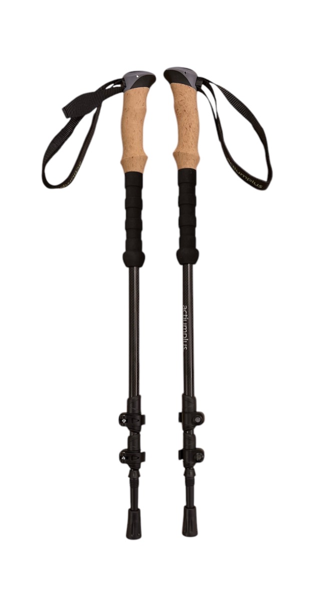 Vandrestave Carbon Black Diamond Hiking Explorer