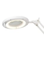 Magni Lup Archi Clipsbordlampe Hvid - Billede 2