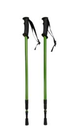 Vandrestave Trekking Style Gold actiumplus