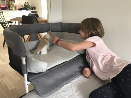 Close2Me Type A1 Hunde- Katteseng
