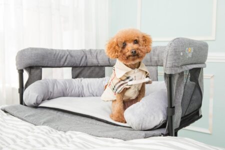 Close2Me Type F Hunde- Katteseng