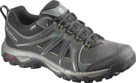 Salomon Evasion GTX Asphalt