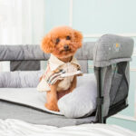 Close2Me Type F Hunde- Katteseng - Billede 5