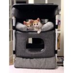 Close2Me Type C Hunde- Katteseng